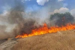 Diyarbakır’ın beş ilçesinde yangın