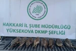DKMP ekipleri kaçak keklik avlayan şahsa cezai işlem uyguladı 