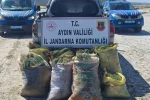 Doğal koruma alanlarında izinsiz bitki toplayan 8 şüpheliye işlem yapıldı