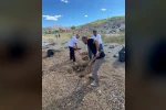 Doğaseverler Van Gölü sahilini temizledi