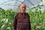 Doğu Anadolu’nun en büyük serasında üretim aralıksız sürüyor