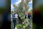 Dolu afeti sonrası hasar tespit çalışmalarına başlandı