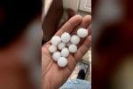 Dolu yağışı ekili alanlara zarar verdi