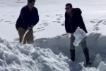 Dondurucu zirvede toplanan kar, yazın serinleten lezzete dönüşüyor 