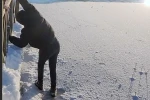 Donmuş gölde buz kırıldı, suya düşmekten son anda kurtuldu