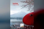 Dorak Tours, 55 yıllık deneyimini yurt dışı turlara taşıyor