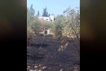 Dörtyol’da bahçe yangını kontrol altına alındı 