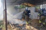 Dörtyol’da samalık yangını 