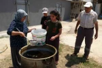 Dut bolluğu pekmez üretimini artırdı