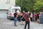 Dut toplarken ağaçtan düşüp yaralandı