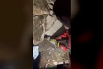 Duvara sıkışan kediyi itfaiye kurtardı