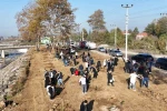 Düzce Üniversitesi’nden yeşil vatan için ağaçlandırma seferberliği