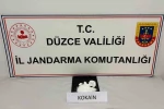 Düzce’de 800 bin TL’lik kokain ele geçirildi