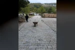 Düzce’de köy iç yollarda kış öncesi son çalışmalar yapılıyor