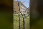 Edirne İlhami Ertem Anadolu Lisesi öğrencilerinden anlamlı etkinlik