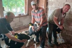 Edirne’de besicinin üçüz buzağı sevinci