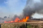 Edirne’de buğday tarlasında çıkan yangın söndürüldü