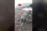 Edirne’de Çevre Haftası’nda gülümseten görüntü