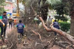 Efeler Belediyesi parkları güvenli hale getiriyor