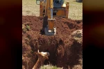 Ekipler seferber oldu, çukura düşen inek kurtarıldı