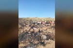 Elazığ’da arazi yangını: Arı kovanları zarar gördü