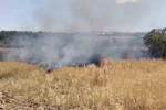Elazığ’da arazi yangını ekiplerin müdahalesi sürüyor