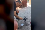 Elazığ’da bir vatandaş, kargayı elleriyle besledi