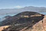 Elazığ’da çıkan arazi yangını söndürüldü