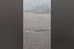 Elazığ’da dolu yağışı etkili oldu