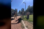 Elazığ’da Harput ve Cip, Atlı Jandarma Timlerine emanet
