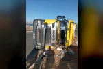 Elazığ’da hayvan yüklü tır devrildi: 2 yaralı