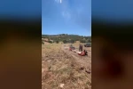 Elazığ’da kenelerle mücadele için doğaya keklik bırakıldı