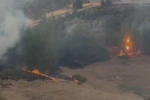 Elazığ’da kırsal alan yangını
