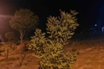 Elazığ’da kuvvetli rüzgar etkisini sürdürüyor