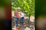 Elazığ’da meyve bahçelerinde takip çalışması 