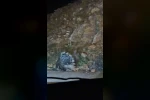 Elazığ’da oklu kirpi görüntülendi 