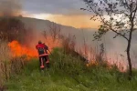 Elazığ’da otluk alanda yangın