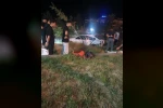 Elazığ’da otomobil Millet Bahçesi’ne girdi: 5 yaralı