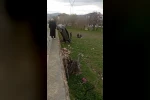 Elazığ’da otomobil şarampole uçtu: 1 yaralı