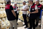 Elazığ’da tulum peynirinde üretim süreci yerinde incelendi