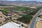 Elazığ’da üretilen milyonlarca fidan, ülkeye nefes oluyor
