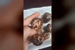 Elazığ’da vatandaşın aldığı orcikten böcek çıktı