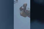 Elazığ’da yaralı leylek itfaiye tarafından kurtarıldı