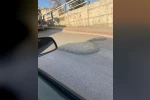 Elazığ’da yola beton döken miksere 668 bin lira ceza kesildi