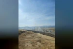 Elazığ’daki yangında 40 dönümlük arpa küle döndü