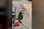 Elektrik tellerine takılan kuş kurtarıldı