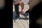Eliyle yakaladığı yılan bacağını ısırdı: O anlar kamerada