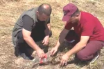 Emet’te alevlerin arasından kurtarılan kaplumbağa yürekleri ısıttı