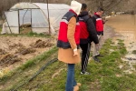 Emet’te selden etkilenen arazilerde hasar tespiti 