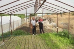 Engelli çocukları için mücadele eden çiftçiye devletten sera desteği